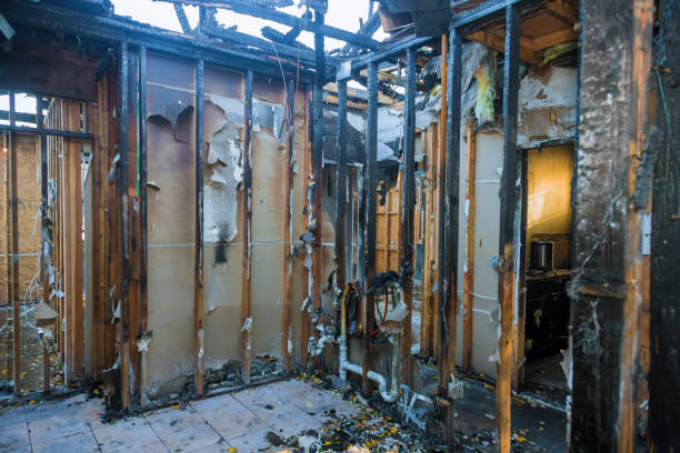 Professional Emergency Fire Cleanup technician working in Tarpon Springs, FL